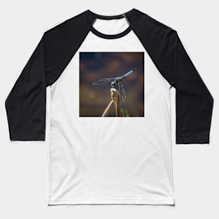 Blue Dasher Dragonfly Baseball T-Shirt